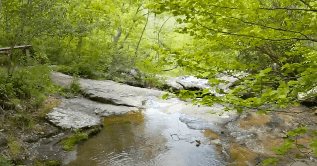 Fallingwater Cascades Trail, Peaks of Otter